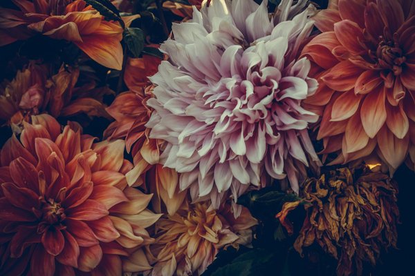 Optez pour un service de ménage régulier : simplicité et efficacité à domicile